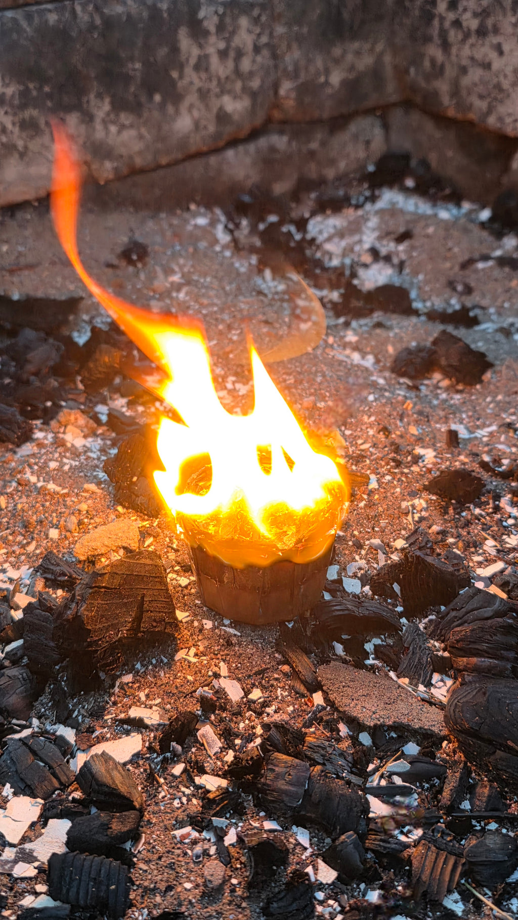 Firestarters (6 pack)